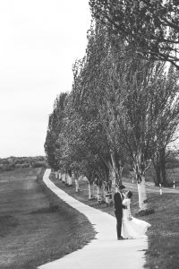 0270_Fvin